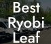 Best Ryobi Leaf Blower