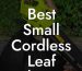 Best Small Cordless Leaf Blower