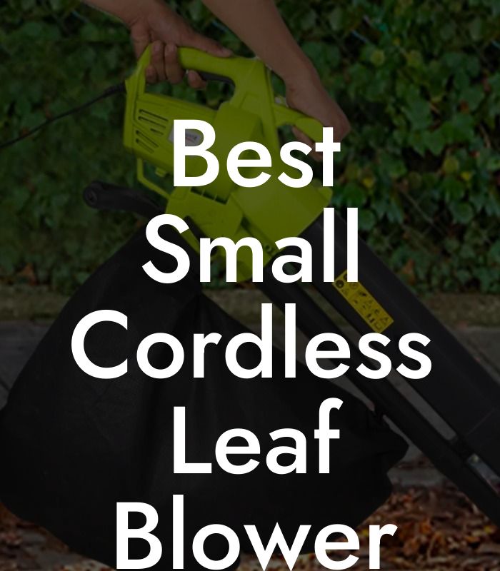 Best Small Cordless Leaf Blower