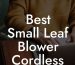 Best Small Leaf Blower Cordless