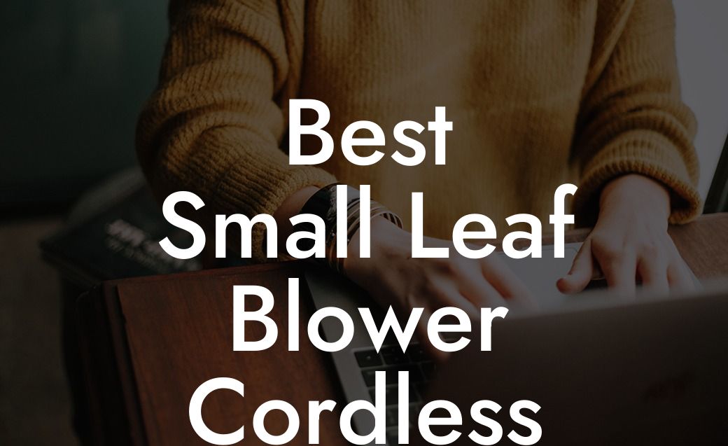 Best Small Leaf Blower Cordless