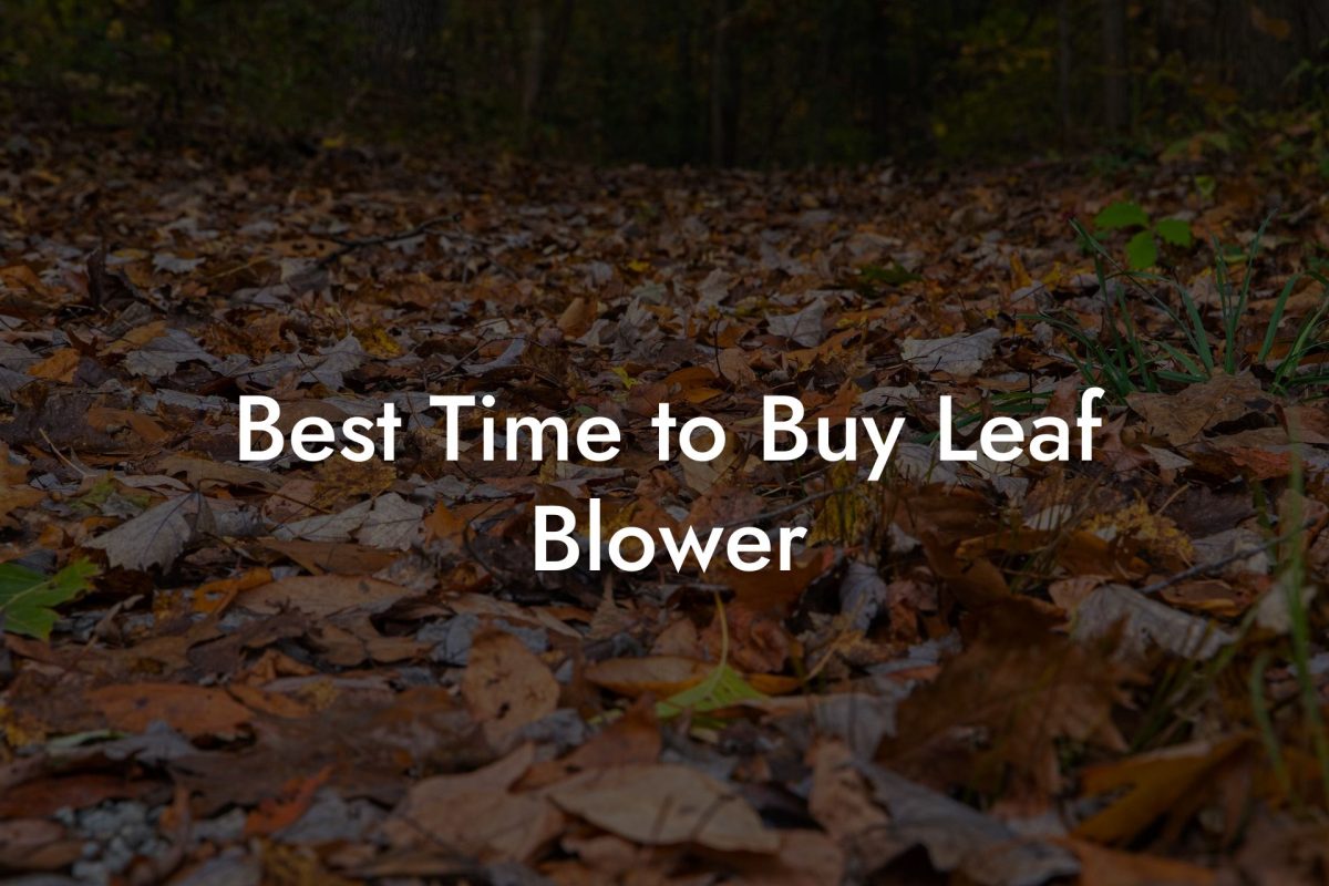 Best Time to Buy Leaf Blower