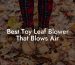 Best Toy Leaf Blower That Blows Air