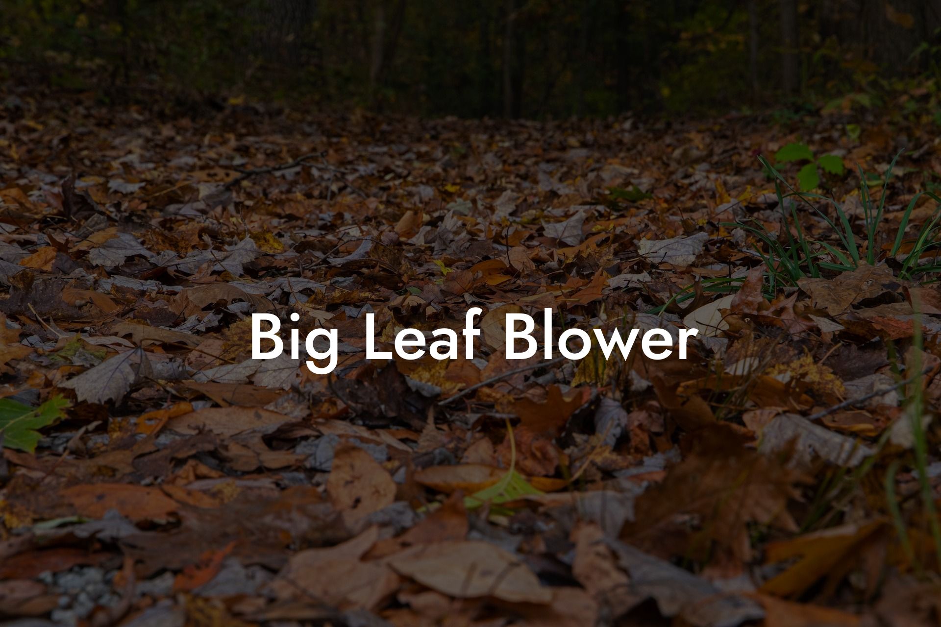 Big Leaf Blower