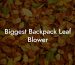 Biggest Backpack Leaf Blower