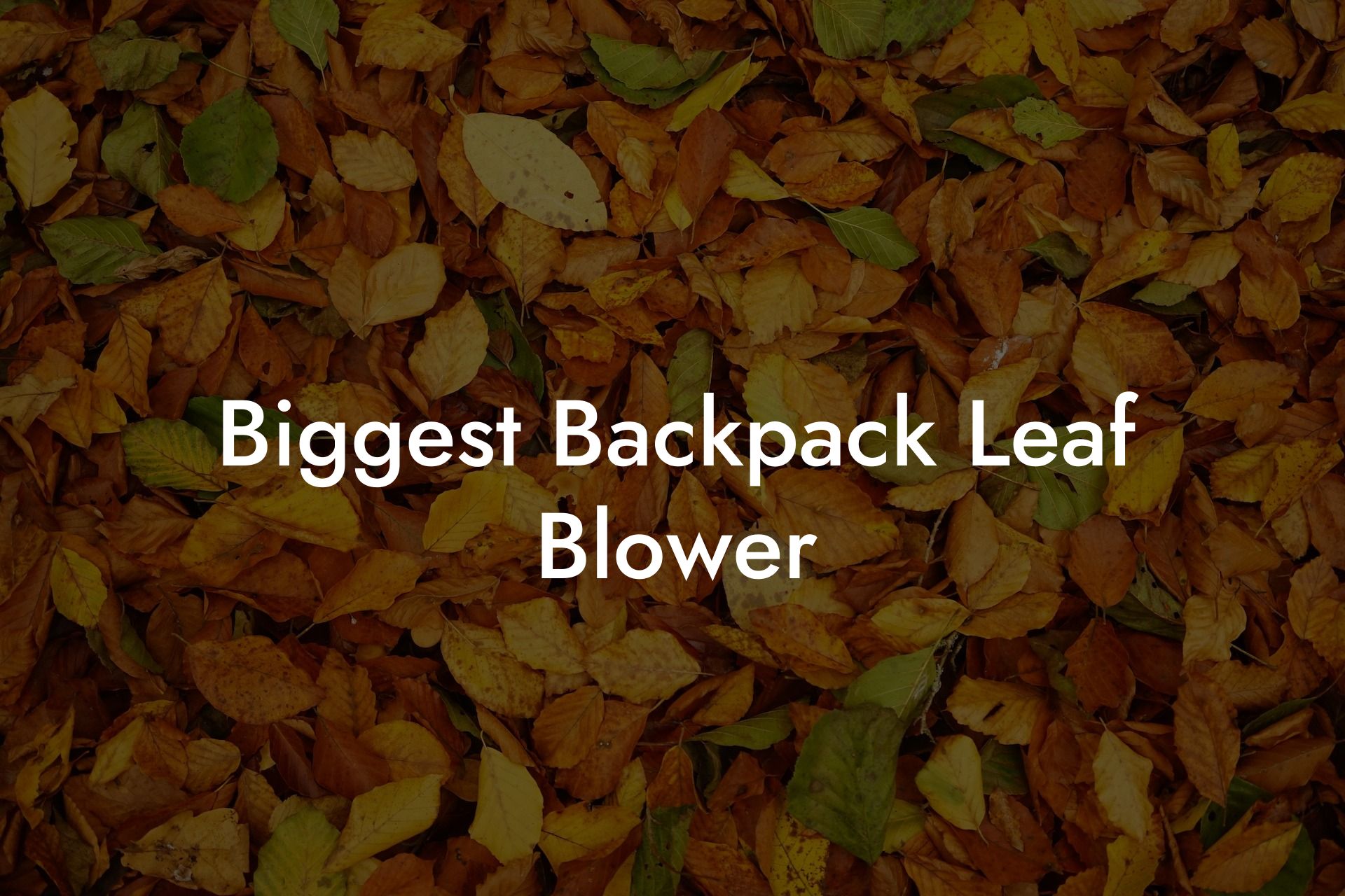 Biggest Backpack Leaf Blower