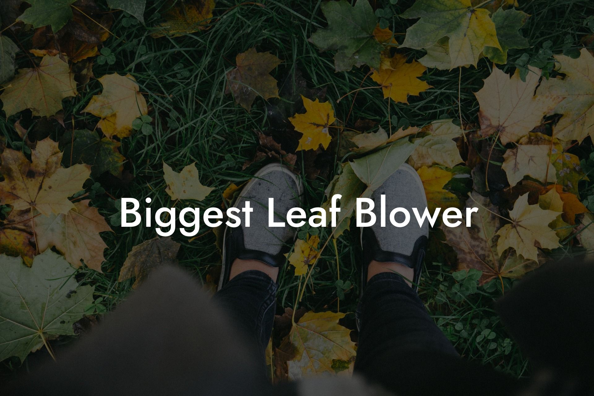 Biggest Leaf Blower