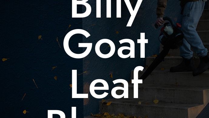 Billy Goat Leaf Blower Sale