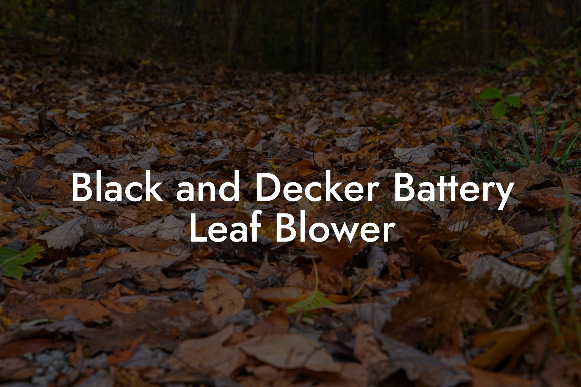 Black and Decker Battery Leaf Blower