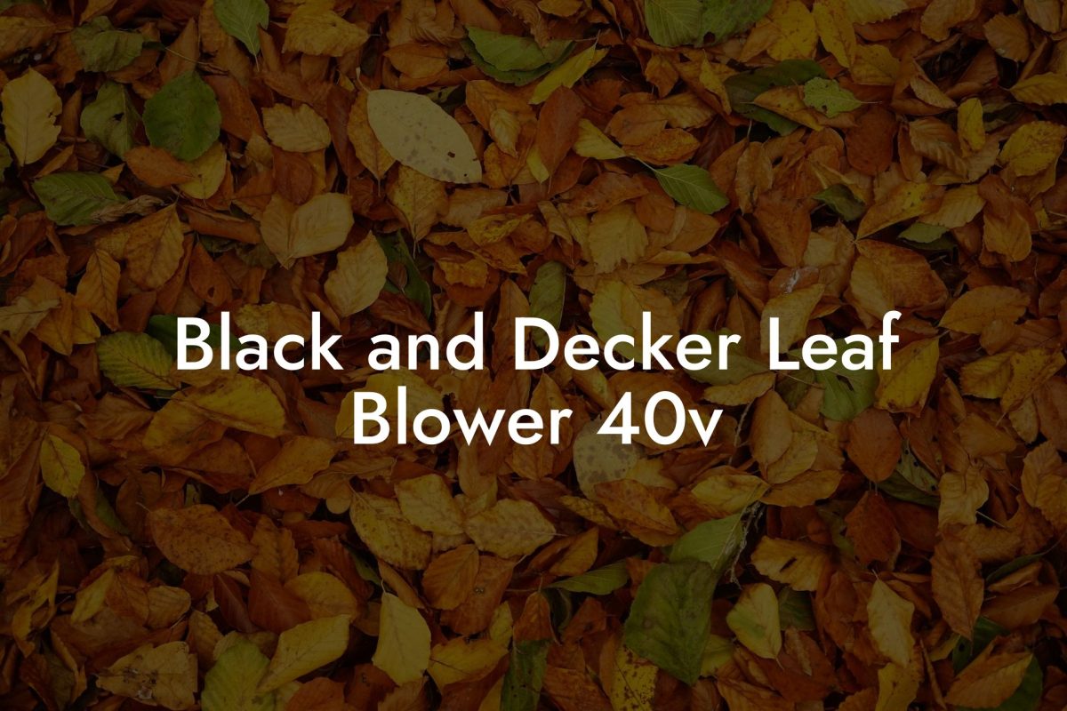 Black and Decker Leaf Blower 40v