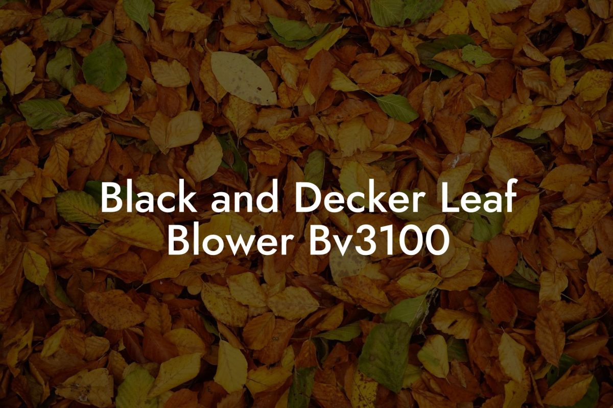 Black and Decker Leaf Blower Bv3100