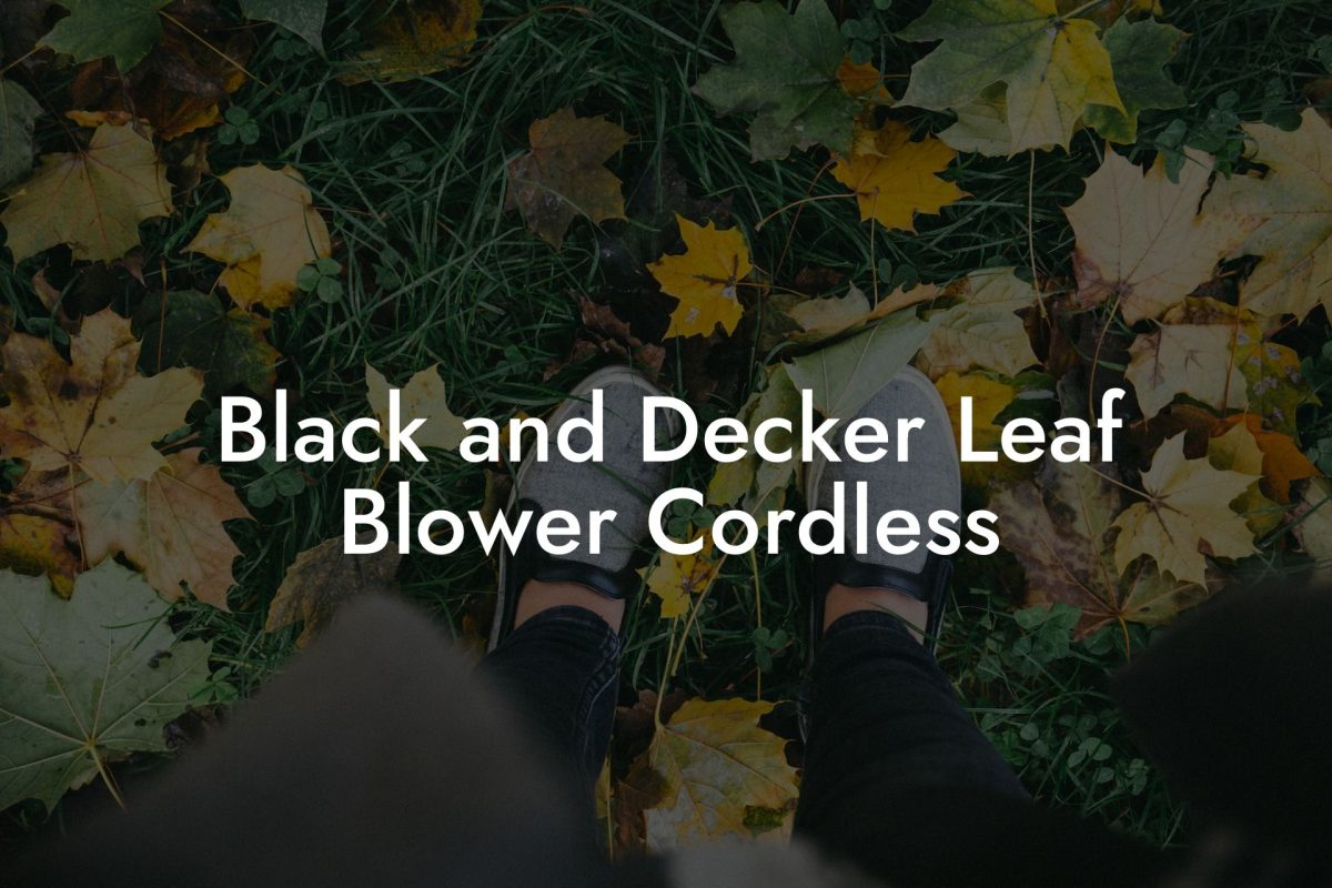 Black and Decker Leaf Blower Cordless