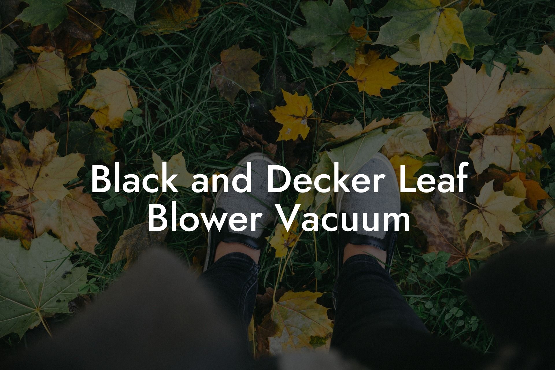 Black and Decker Leaf Blower Vacuum