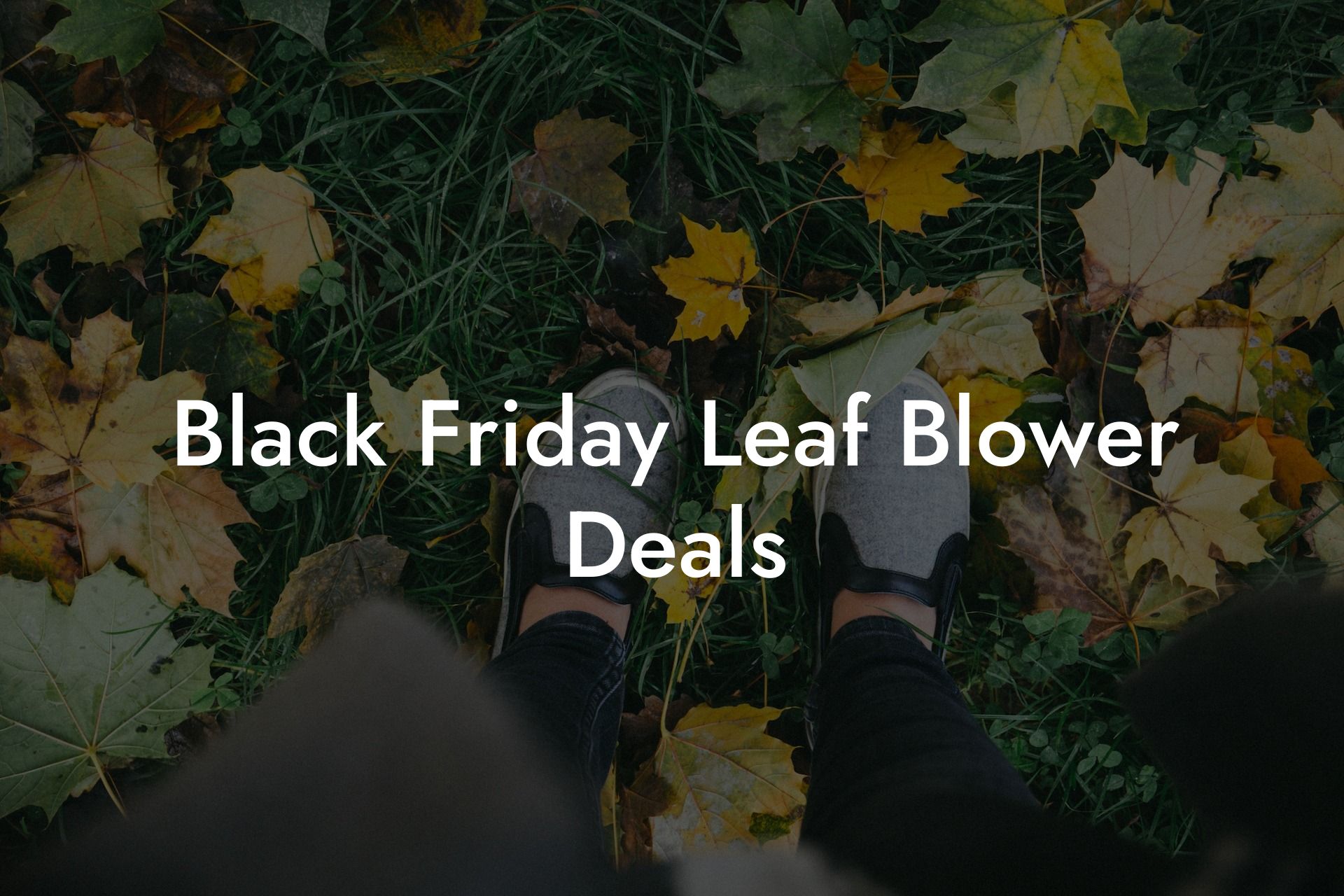 Black Friday Leaf Blower Deals