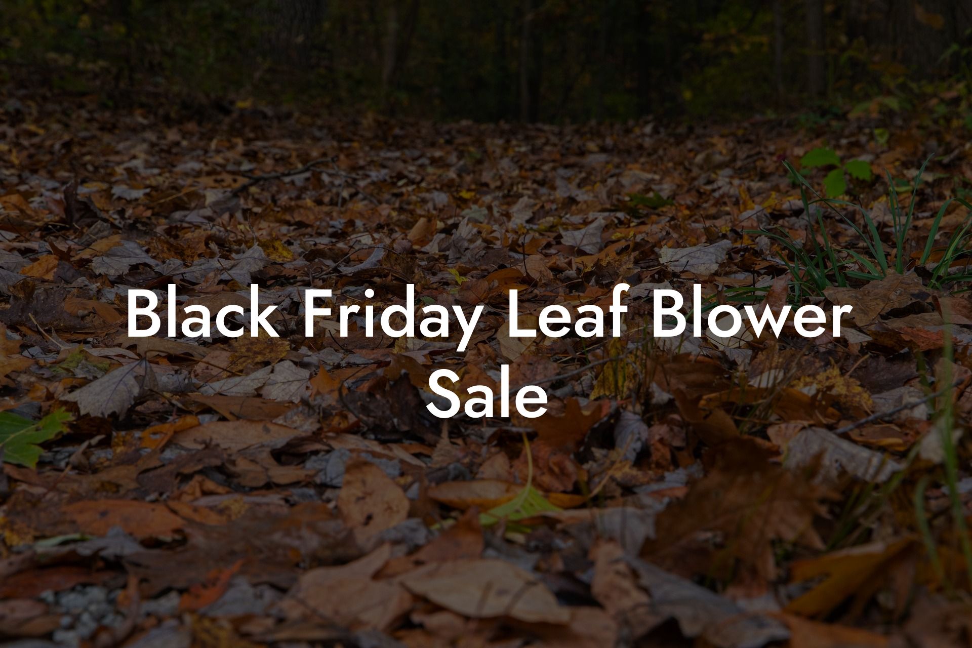 Black Friday Leaf Blower Sale