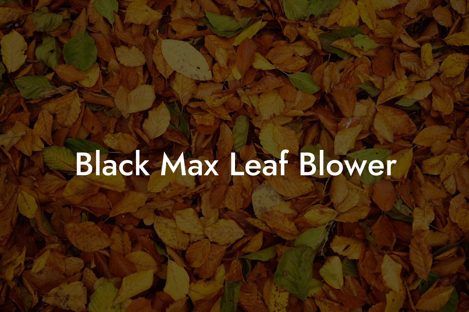 Black Max Leaf Blower