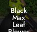 Black Max Leaf Blower Parts