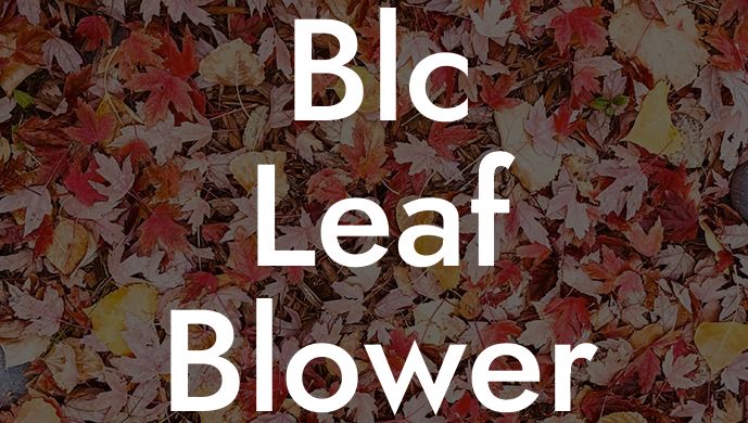 Blc Leaf Blower Revolution