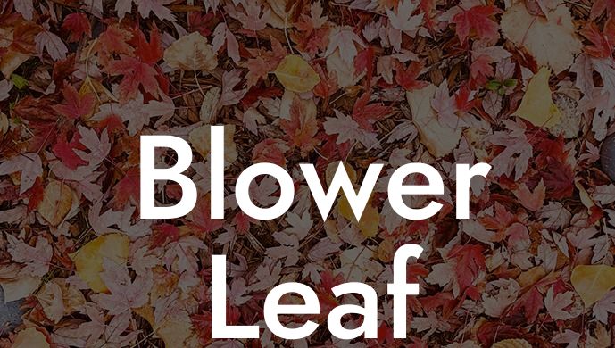 Blower Leaf Blower