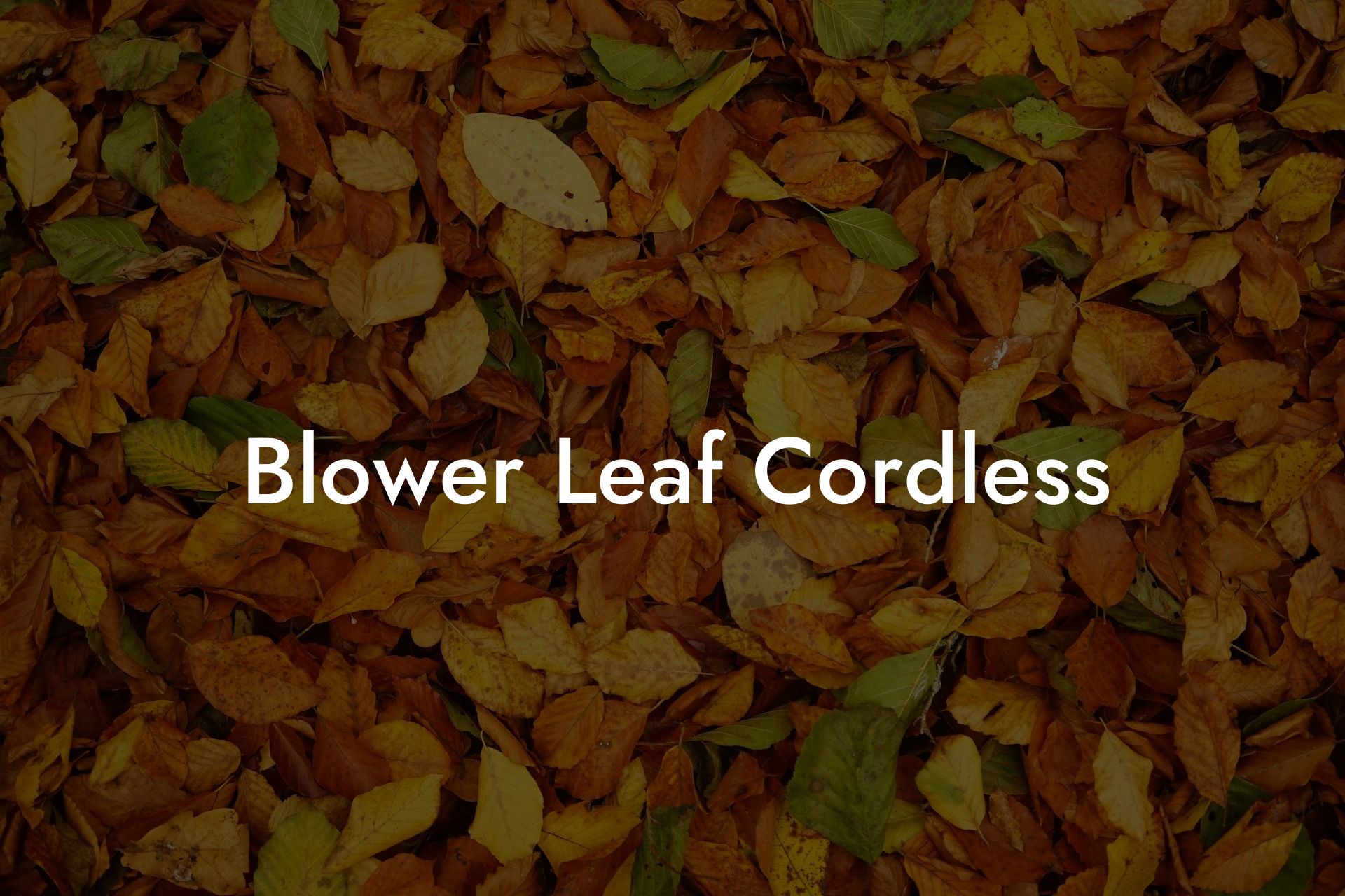 Blower Leaf Cordless