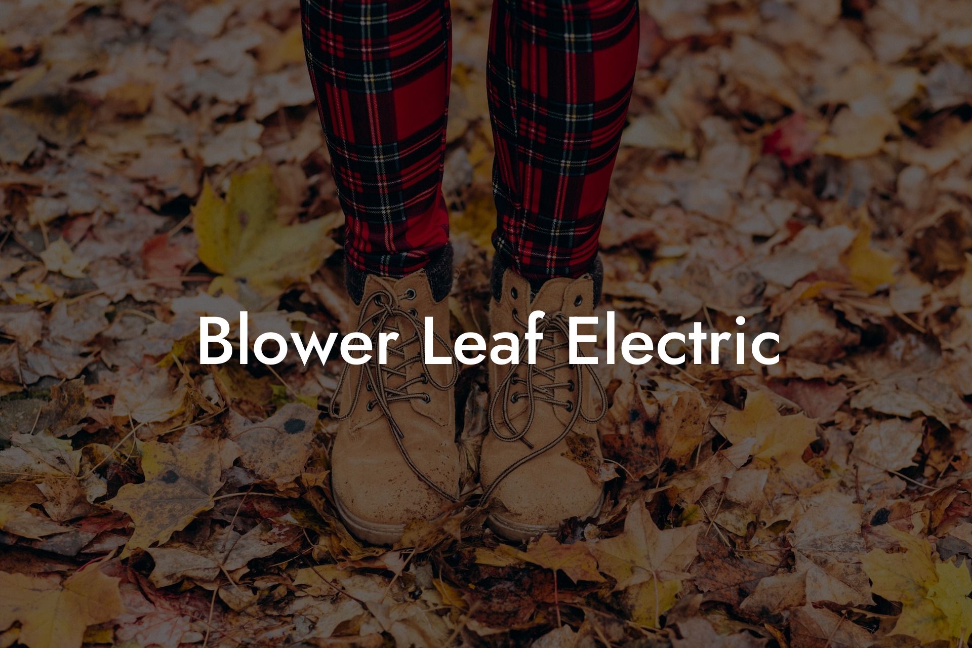 Blower Leaf Electric