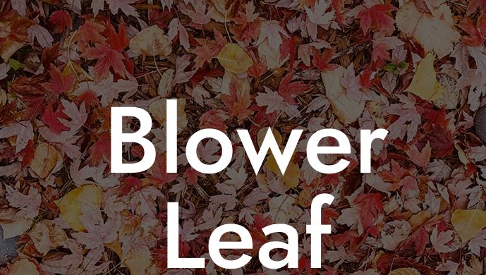 Blower Leaf Vacuum