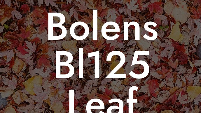 Bolens Bl125 Leaf Blower Carburetor