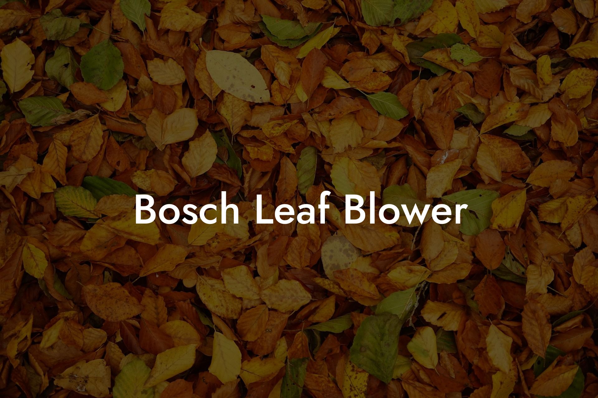 Bosch Leaf Blower