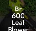 Br 600 Leaf Blower