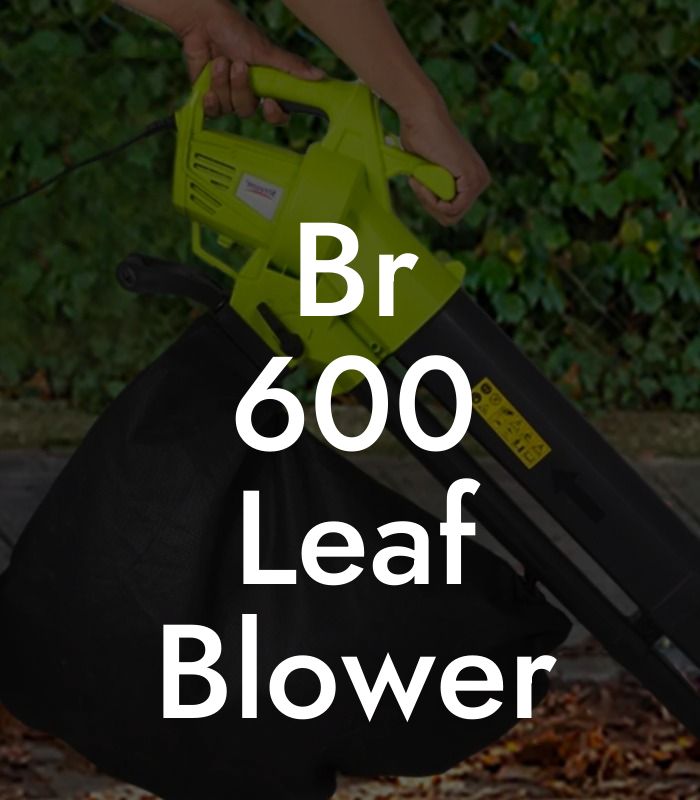 Br 600 Leaf Blower