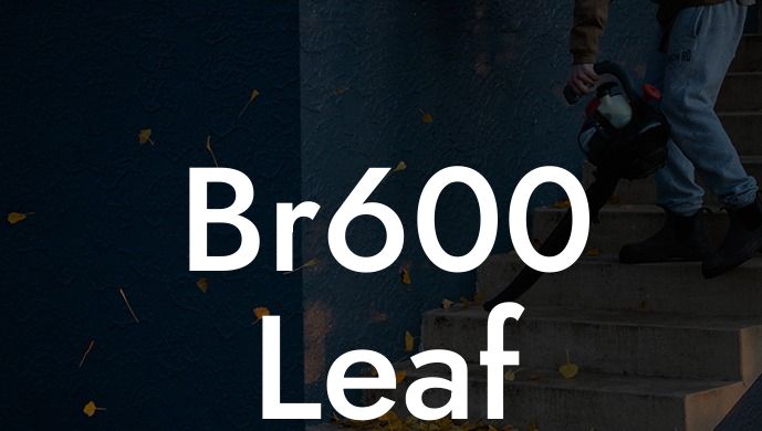 Br600 Leaf Blower