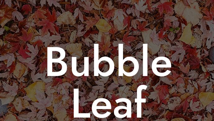 Bubble Leaf Blower