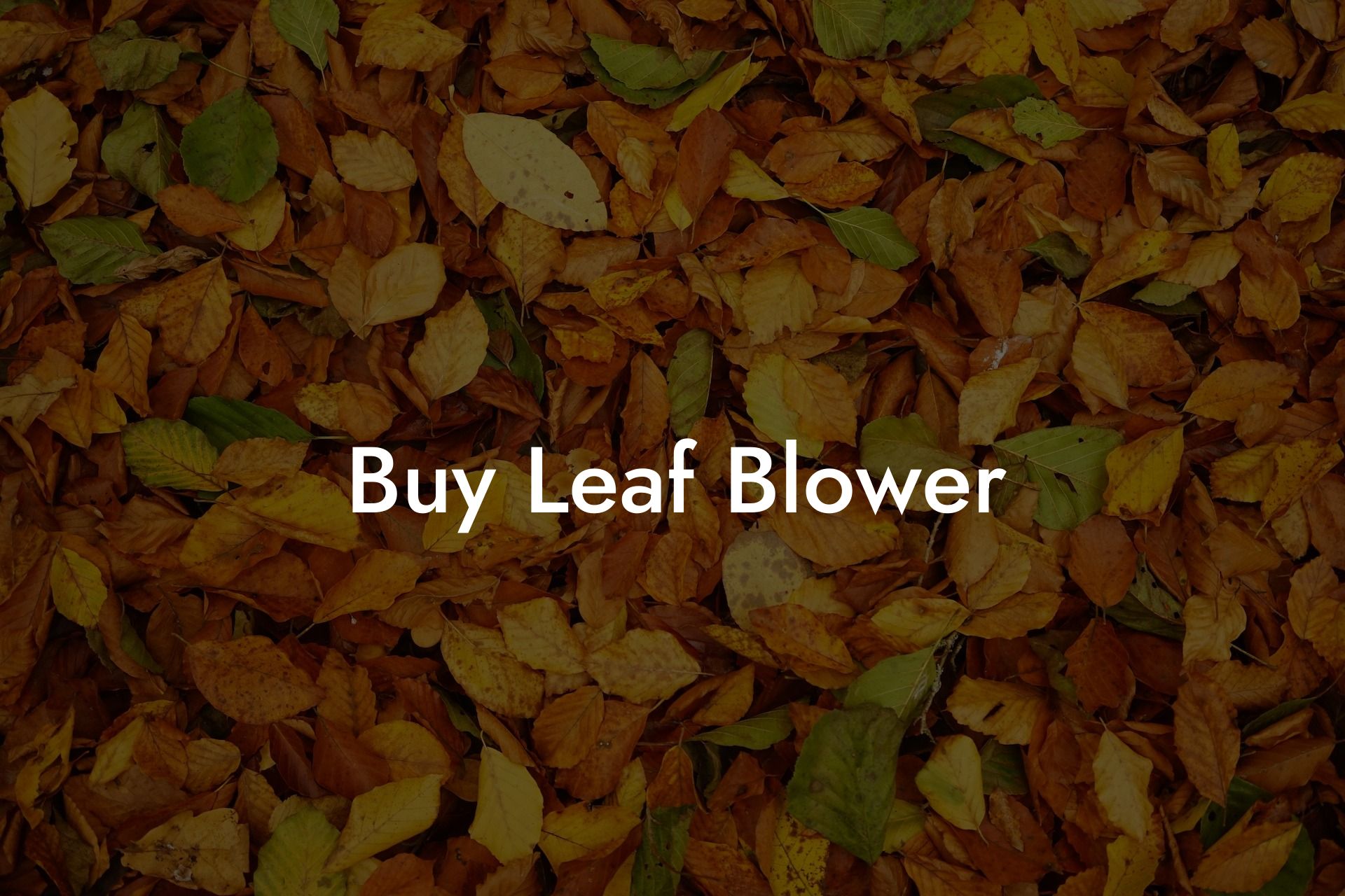 Buy Leaf Blower