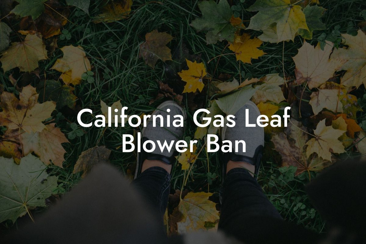 California Gas Leaf Blower Ban