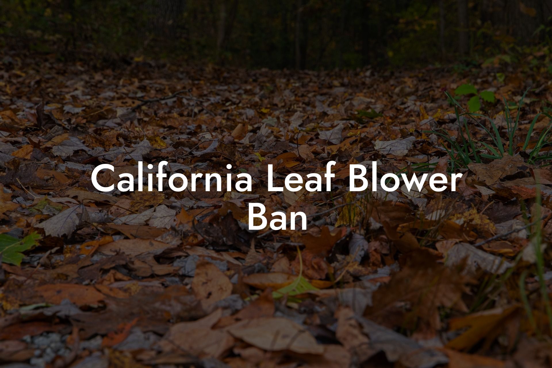 California Leaf Blower Ban