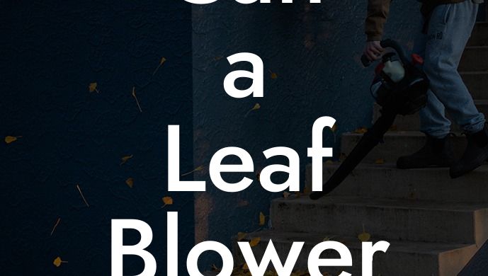 Can a Leaf Blower Blow Snow