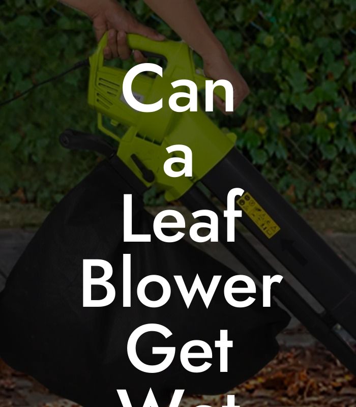 Can a Leaf Blower Get Wet