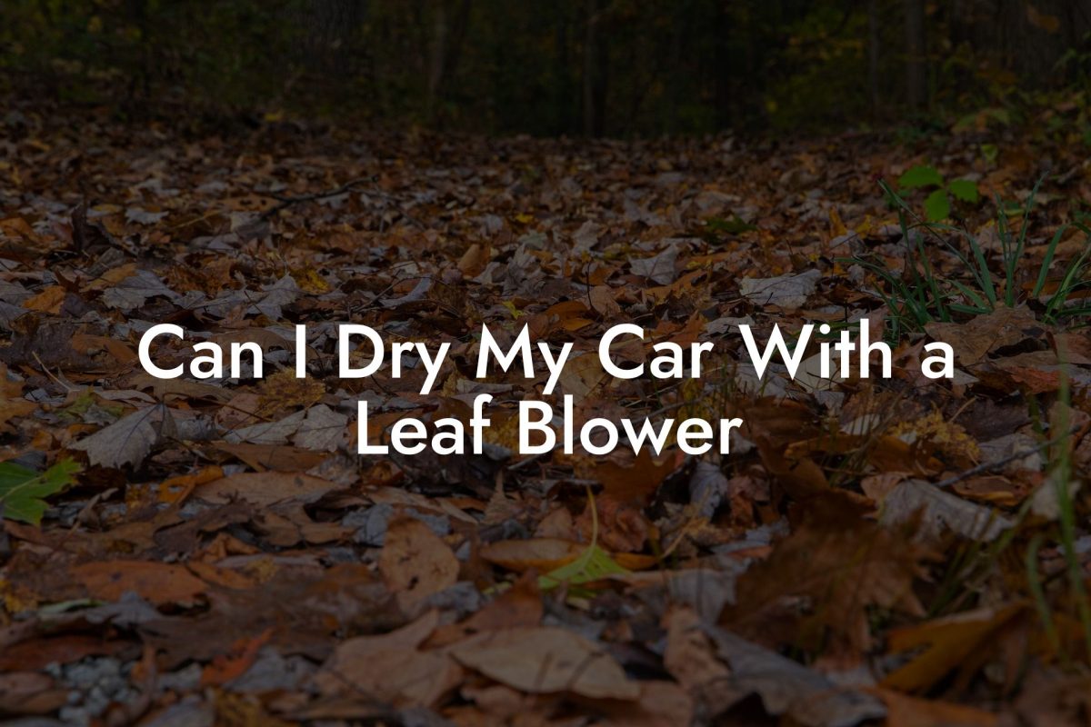 Can I Dry My Car With a Leaf Blower