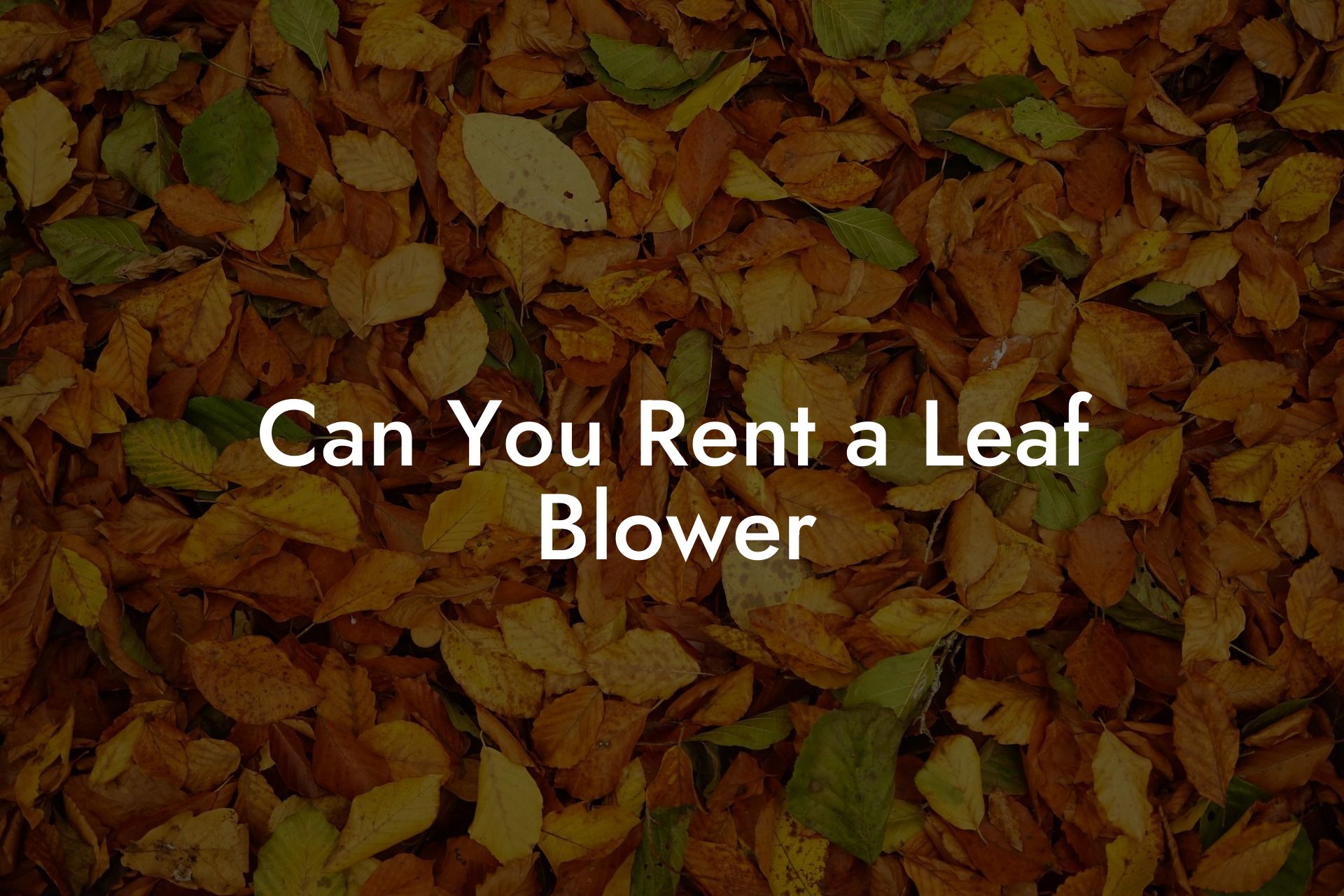 Can You Rent a Leaf Blower