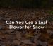 Can You Use a Leaf Blower for Snow