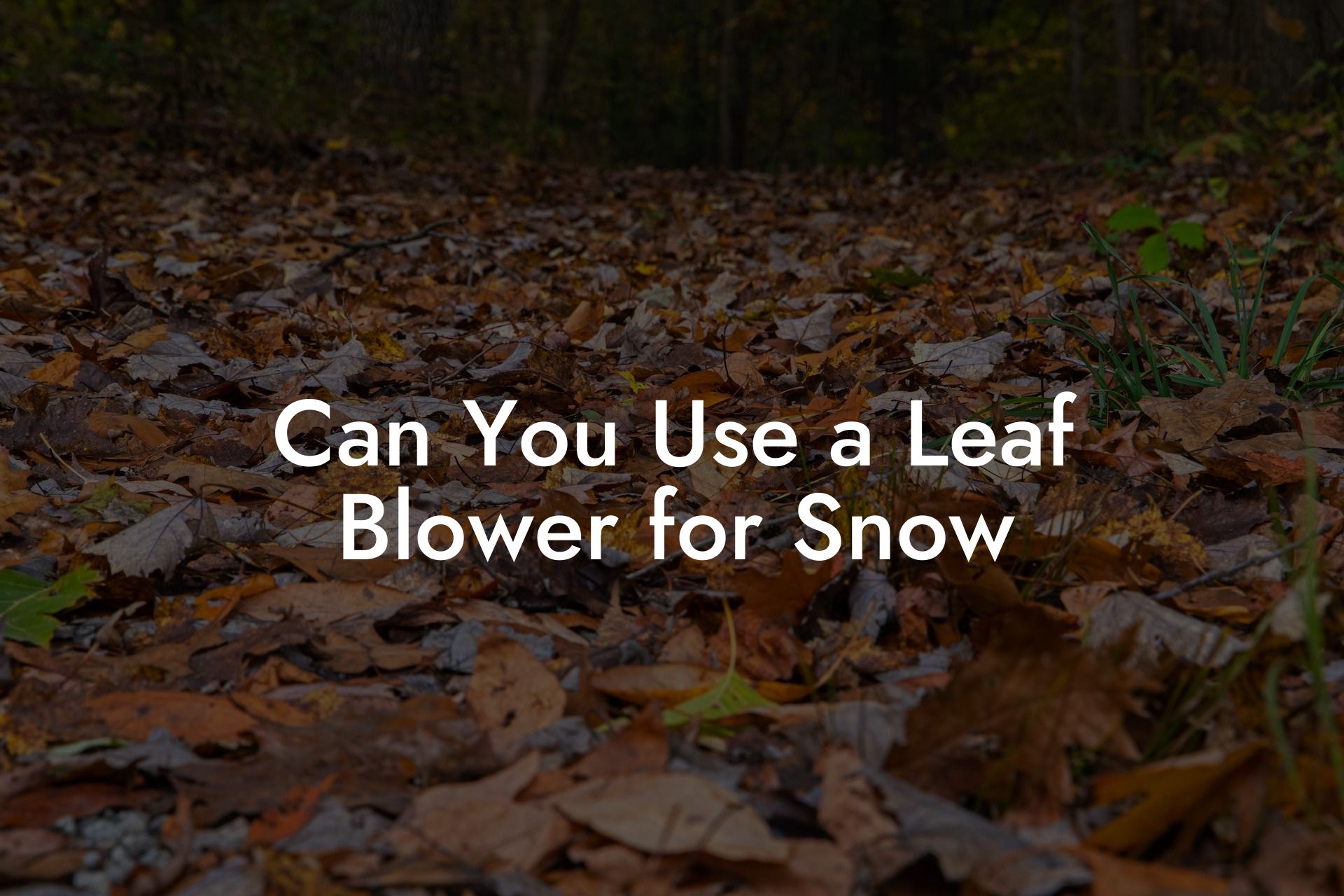 Can You Use a Leaf Blower for Snow