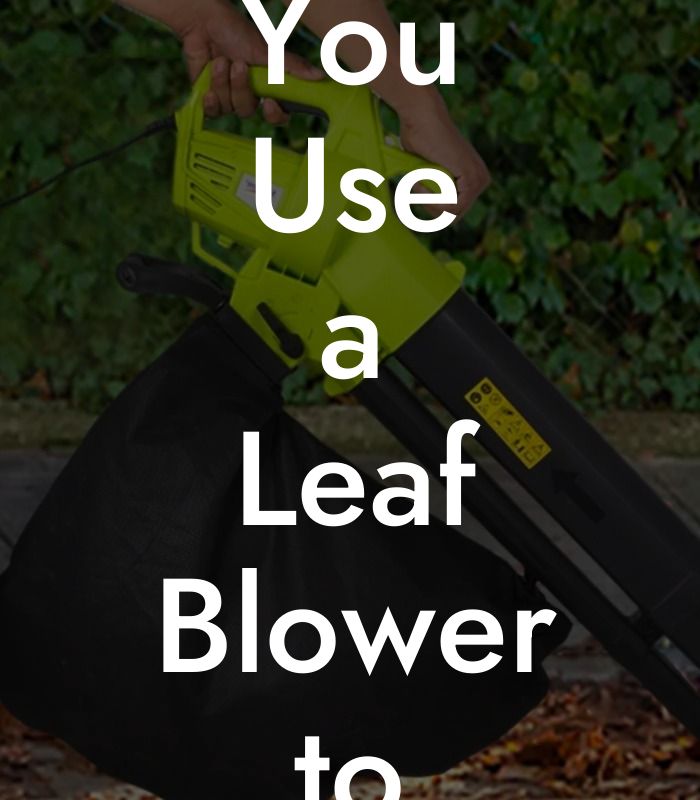 Can You Use a Leaf Blower to Clean Dryer Vent