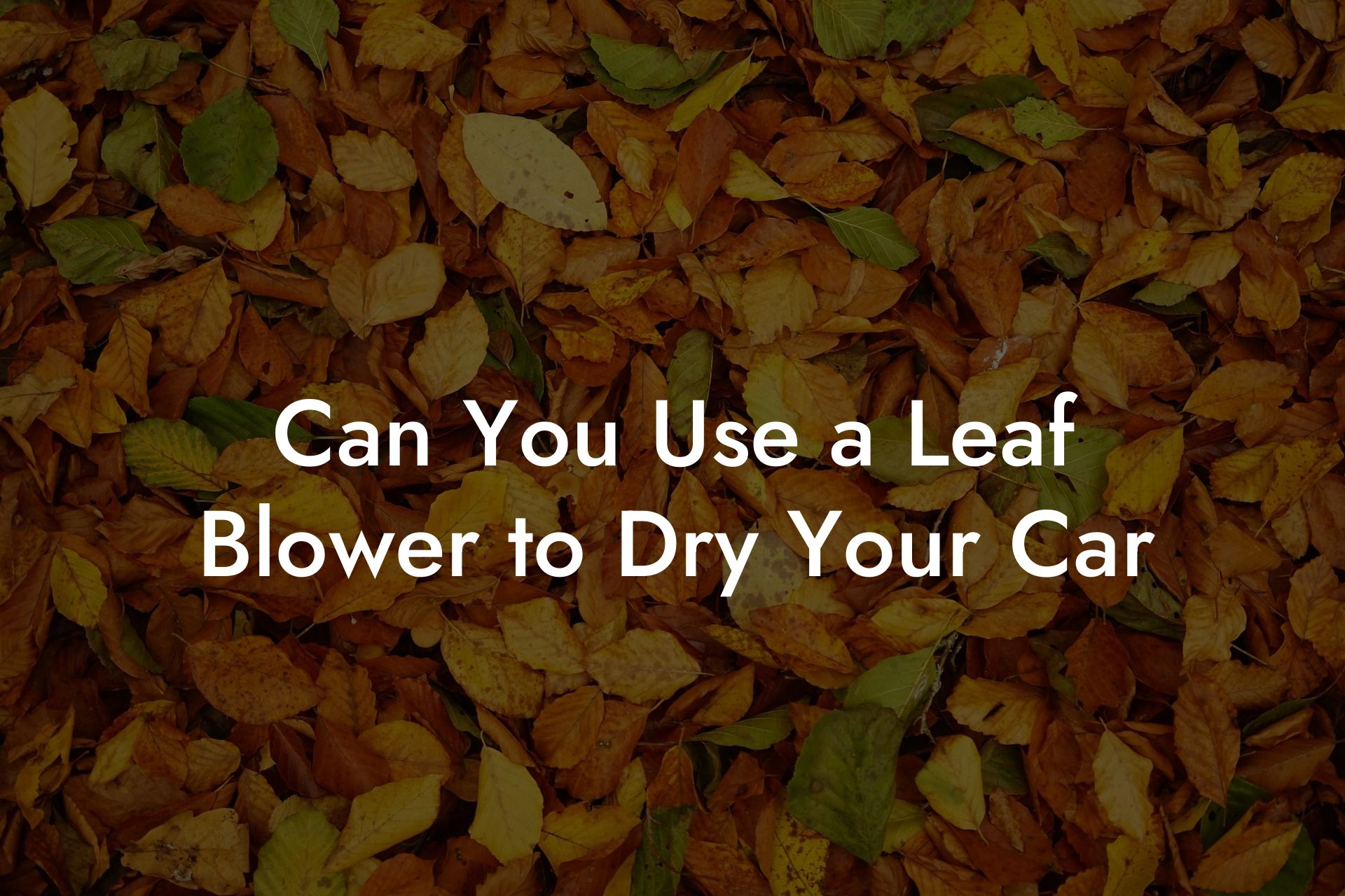 Can You Use a Leaf Blower to Dry Your Car