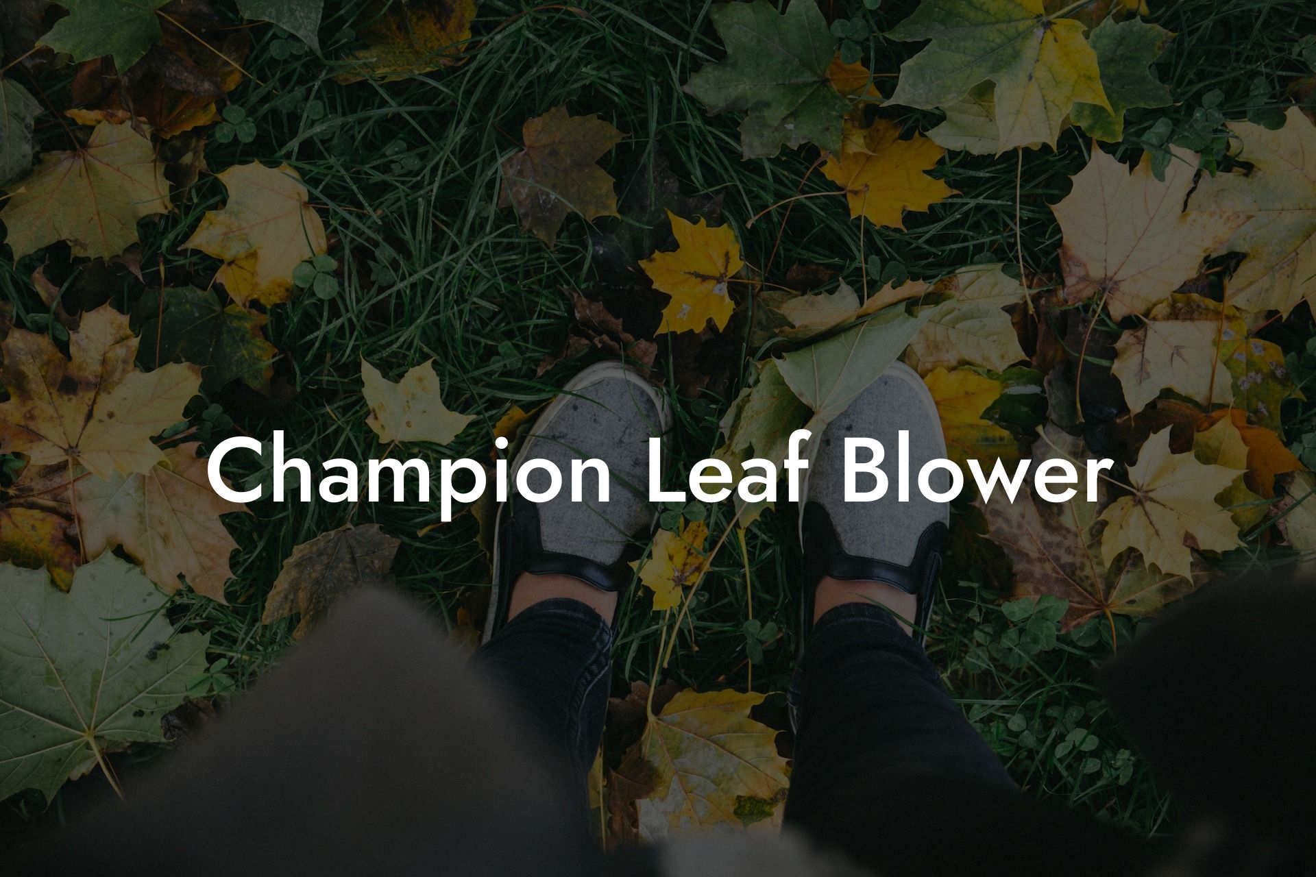 Champion Leaf Blower