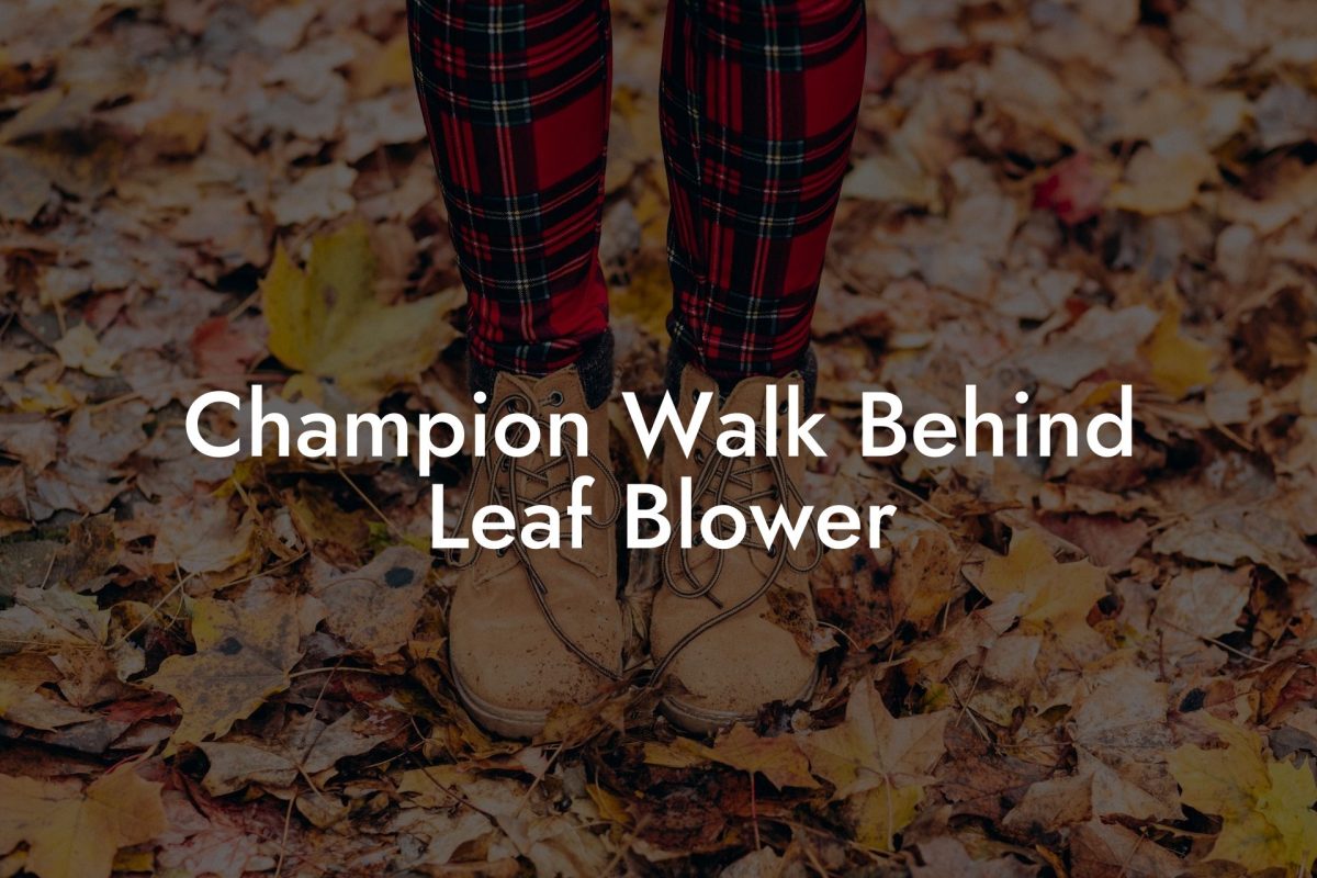 Champion Walk Behind Leaf Blower