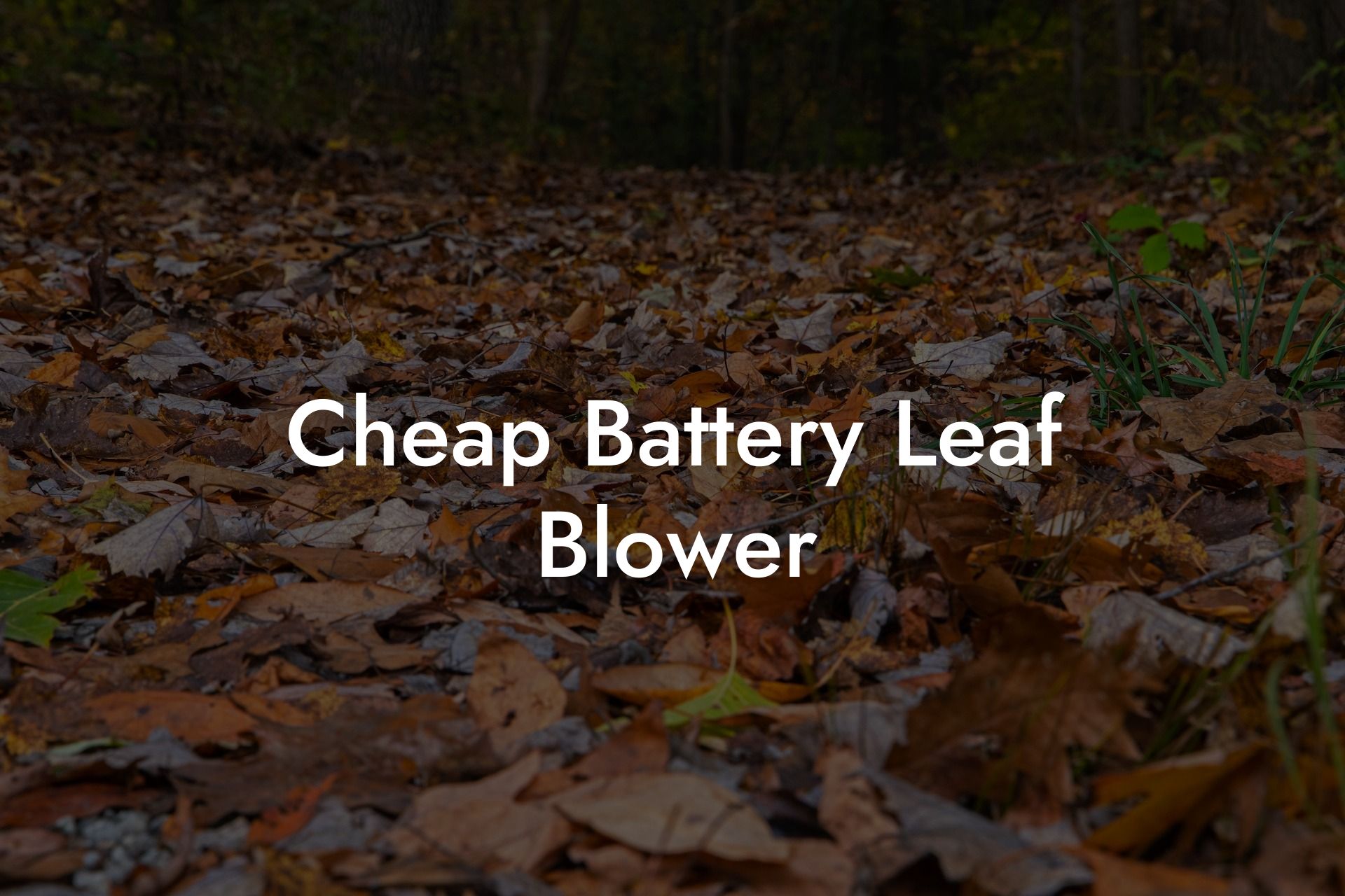 Cheap Battery Leaf Blower