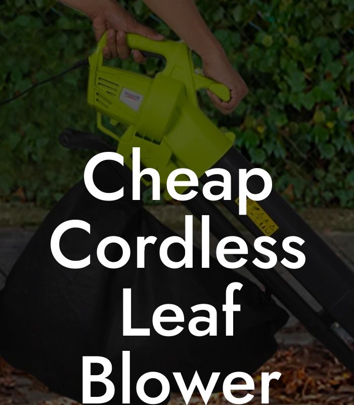 Cheap Cordless Leaf Blower