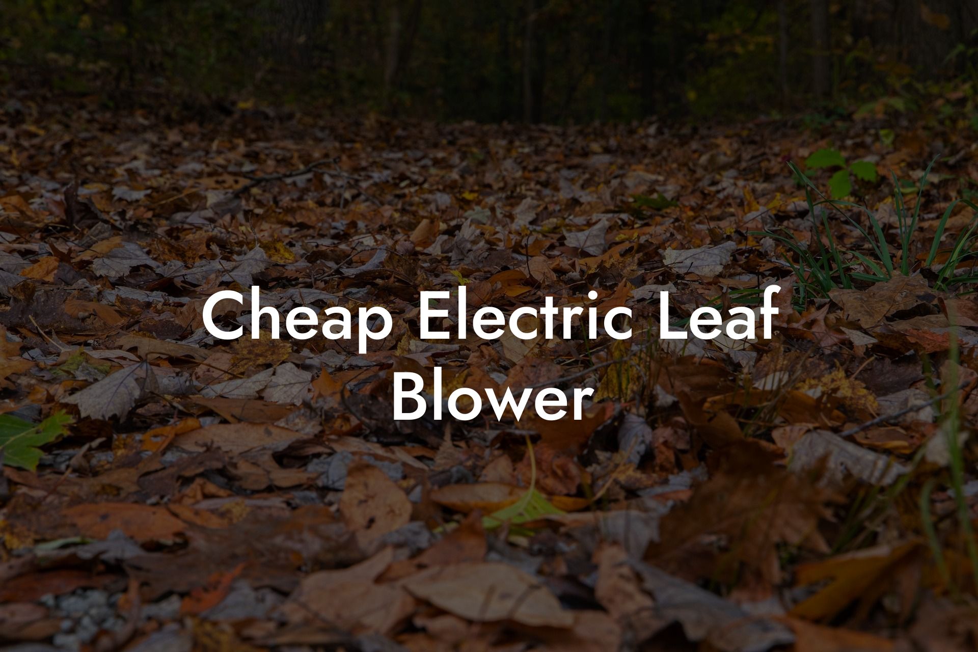 Cheap Electric Leaf Blower