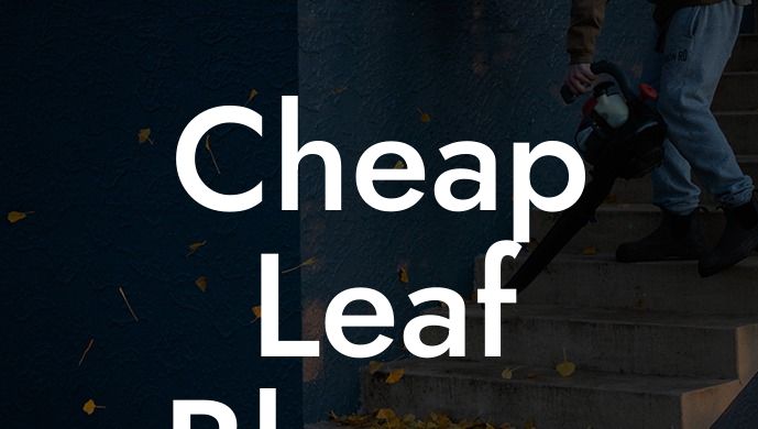 Cheap Leaf Blower Cordless