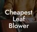 Cheapest Leaf Blower